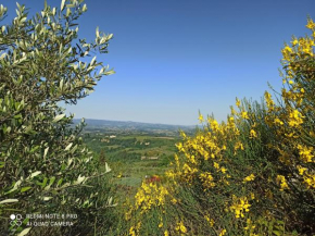 Poggio dei Carli Marcialla